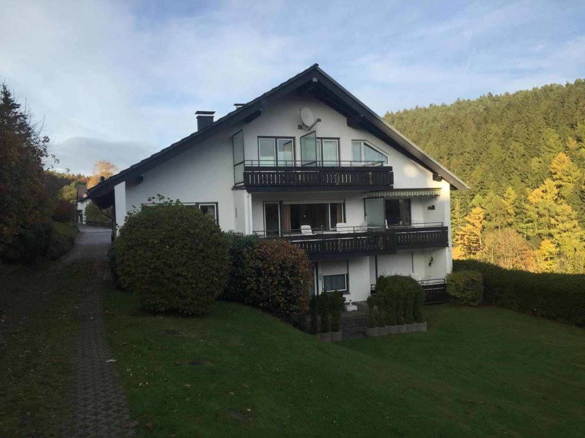 Ferienwohnungen Lang Willingen  Exterior foto