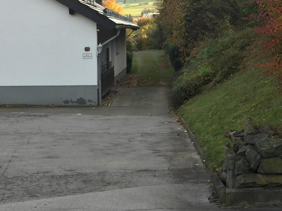 Ferienwohnungen Lang Willingen  Exterior foto