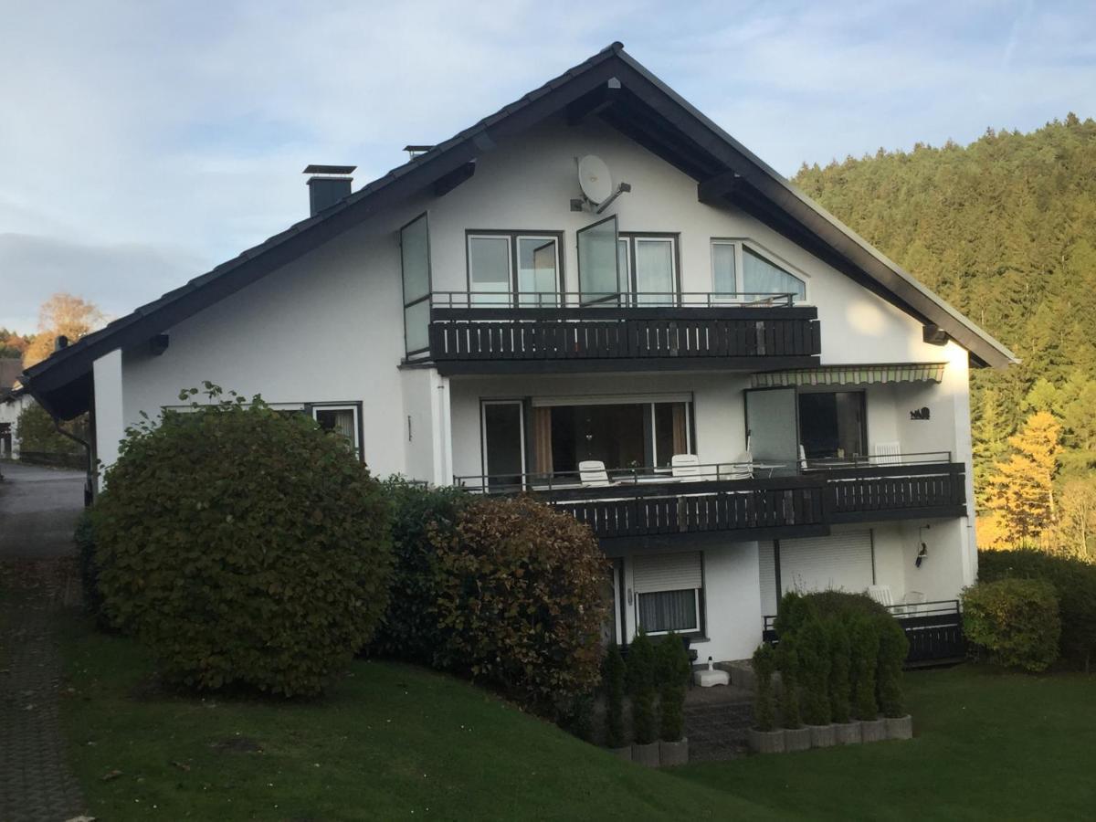 Ferienwohnungen Lang Willingen  Exterior foto