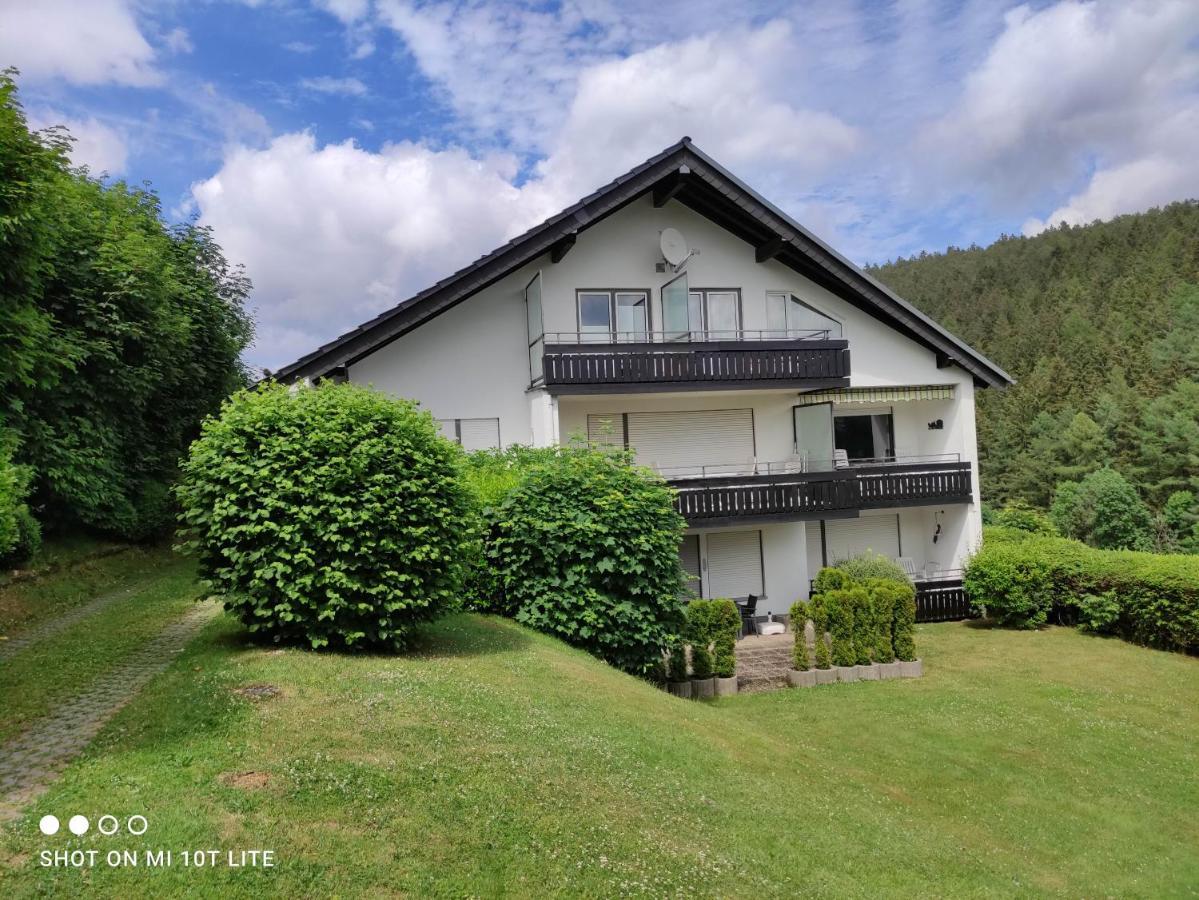 Ferienwohnungen Lang Willingen  Exterior foto